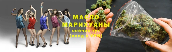 твердый Мегион
