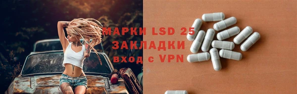 твердый Мегион