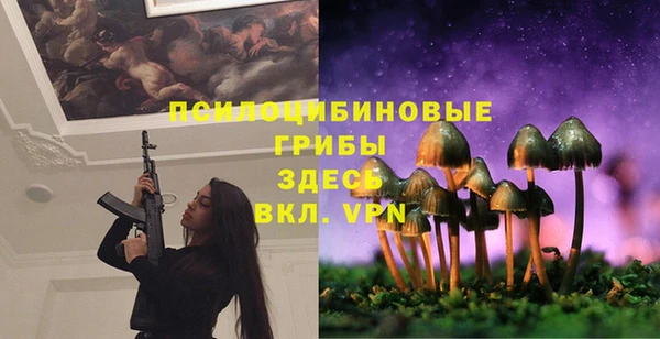 твердый Мегион