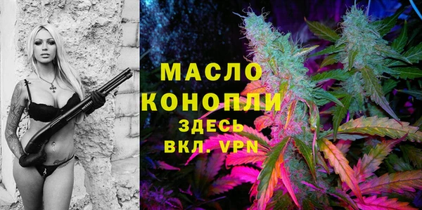 твердый Мегион