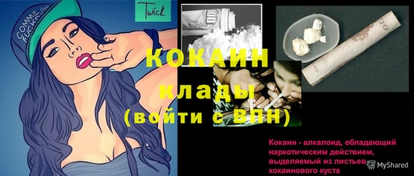 твердый Мегион