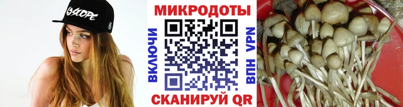 Псилоцибиновые грибы прущие грибы  Купить где  Стрежевой 